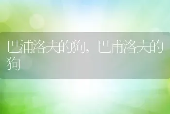 巴浦洛夫的狗，巴甫洛夫的狗