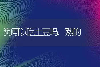 狗可以吃土豆吗，熟的