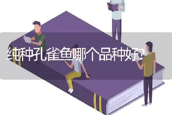 纯种孔雀鱼哪个品种好？