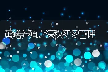 黄鳝养殖之深秋初冬管理