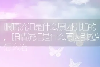 眼睛流泪是什么原因引起的，眼睛流泪是什么原因引起的怎么治