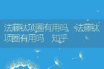 法藤钛项圈有用吗，法藤钛项圈有用吗 知乎