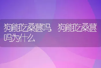 狗能吃桑葚吗，狗能吃桑葚吗为什么