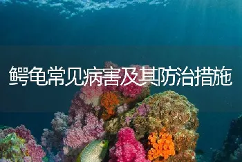 鳄龟常见病害及其防治措施