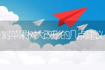 蟾蜍人工养殖的越冬技术