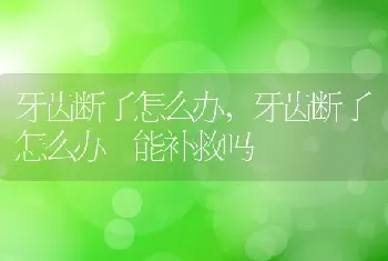 牙齿断了怎么办，牙齿断了怎么办 能补救吗