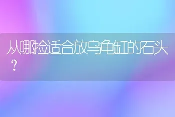 从哪捡适合放乌龟缸的石头？