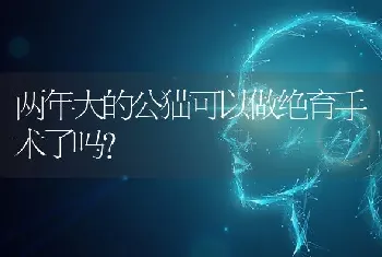 两年大的公猫可以做绝育手术了吗？