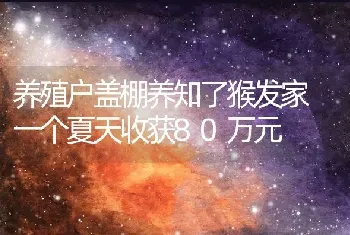 养殖户盖棚养知了猴发家 一个夏天收获80万元