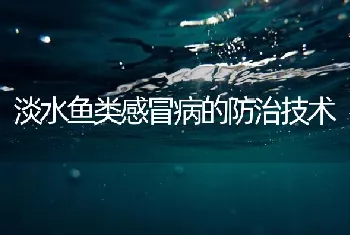 淡水鱼类感冒病的防治技术