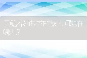 黄鳝养殖技术的最大问题在哪儿？