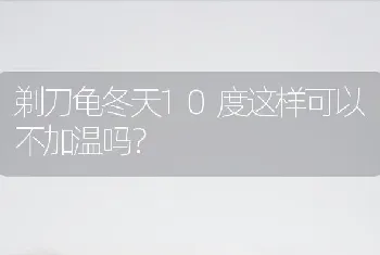 剃刀龟冬天10度这样可以不加温吗？