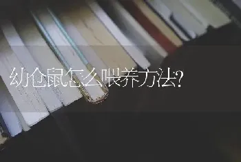 幼仓鼠怎么喂养方法？