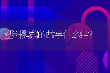 塑料鹦鹉的故事什么结？