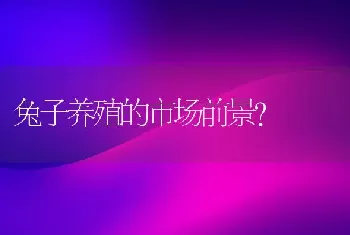 兔子养殖的市场前景？