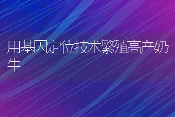 用基因定位技术繁殖高产奶牛