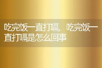 吃完饭一直打嗝，吃完饭一直打嗝是怎么回事