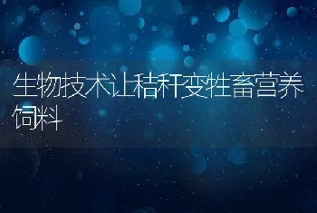 生物技术让秸秆变牲畜营养饲料