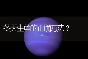 冬天生鱼的正确方法？