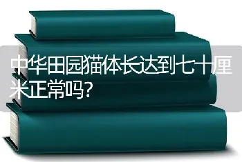 中华田园猫体长达到七十厘米正常吗？