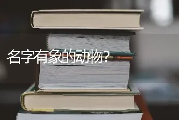 名字有象的动物？