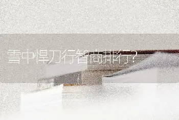 雪中悍刀行智商排行？