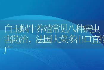 白玉蜗牛养殖常见八种病虫害防治，法国大菜多出口宜推广