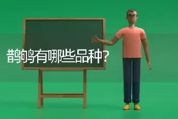 拉布拉多拉得太多怎么办？