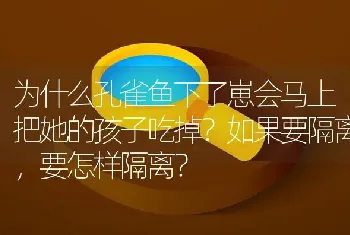 为什么孔雀鱼下了崽会马上把她的孩子吃掉？如果要隔离，要怎样隔离？