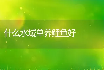 仔兔腹胀拉黄白粪死亡，咋办？