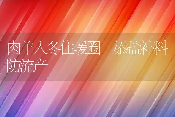 肉羊入冬住暖圈添盐补料防流产