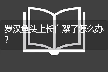 罗汉鱼头上长白絮了怎么办？