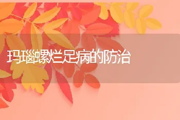 玛瑙螺烂足病的防治