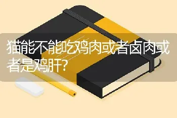 猫能不能吃鸡肉或者卤肉或者是鸡肝？