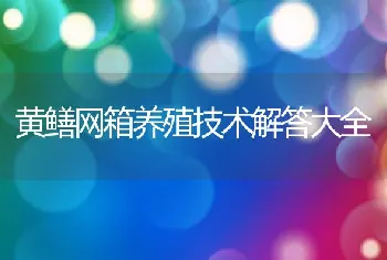 黄鳝网箱养殖技术解答大全