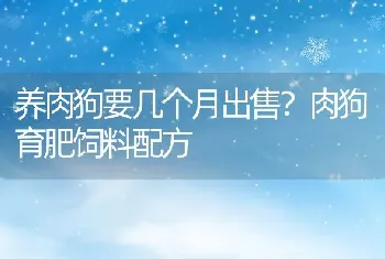 养肉狗要几个月出售？肉狗育肥饲料配方