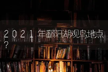 2021年鄱阳湖观鸟地点？