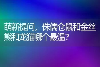 萌新提问，侏儒仓鼠和金丝熊和龙猫哪个最温？