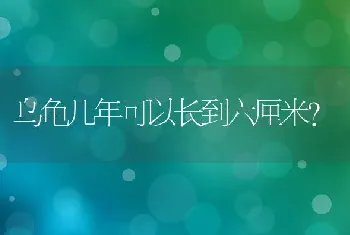 乌龟几年可以长到六厘米？