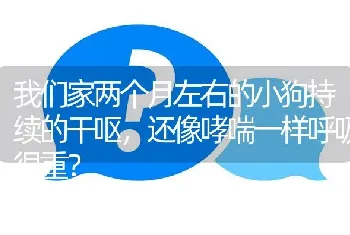 我们家两个月左右的小狗持续的干呕，还像哮喘一样呼吸很重？