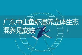 广东中山鱼虾混养立体生态混养见成效