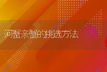 霉变饲料致妊娠母兔死胎