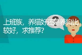 上班族，养猫好还是养狗比较好，求推荐？