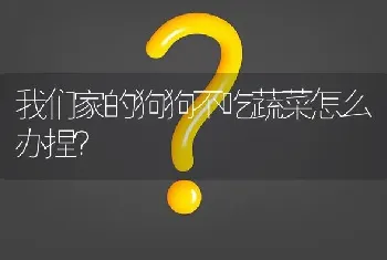 我们家的狗狗不吃蔬菜怎么办捏？