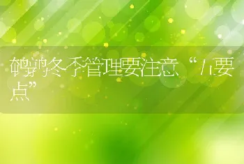 南方地区大规格奥尼罗非鱼池塘养殖技术