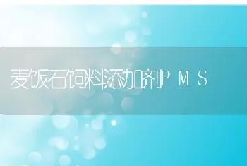 关于刺参海上网箱生态育苗养成及发病情况