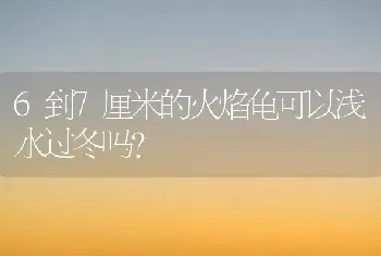 6到7厘米的火焰龟可以浅水过冬吗？