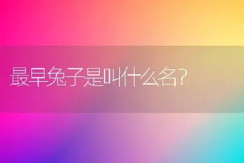 刚孵化出的巴西龟需要喝水吗？