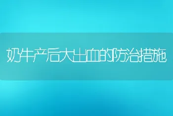 奶牛产后大出血的防治措施