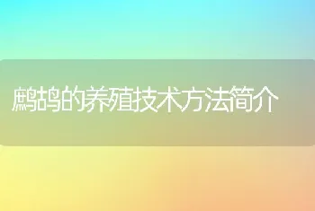 鹧鸪的养殖技术方法简介